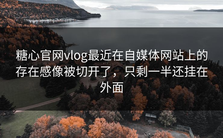 糖心官网vlog最近在自媒体网站上的存在感像被切开了，只剩一半还挂在外面