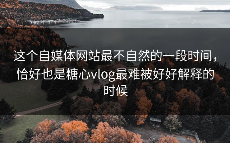 这个自媒体网站最不自然的一段时间，恰好也是糖心vlog最难被好好解释的时候