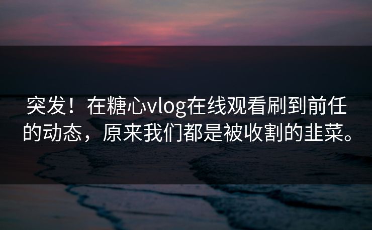 突发！在糖心vlog在线观看刷到前任的动态，原来我们都是被收割的韭菜。